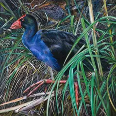 Rafael De Armas, Pukeko between the foliage, oil on canvas