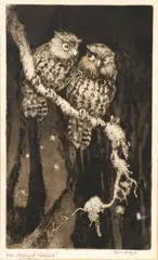 Trevor Lloyd, New Zealand Morepork, etching
