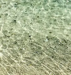 Erica van Zon, Coral Beach, archival print on photo rag framed behind Flemish textured glass, 1/3