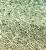Erica van Zon, Coral Beach, archival print on photo rag framed behind Flemish textured glass, 1/3
