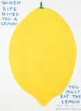 David Shrigley, When Life Gives you a Lemon, screenprint on 200g Munken Lynx paper, 2021, open edition