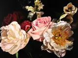 Pamela Wolfe, Remembrance