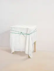 Bind by Emily Wolfe, oil on linen, offered Jun 2022