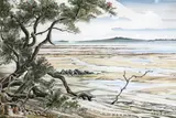 John Crichton, Untitled - Rangitoto