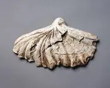 Fossilised Bird by Len Castle, stoneware with textured surface and rubbed umber pigment, sold Jun 2022