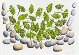 Mark Wooller, Vessel