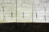 Noelene Ngawaka, Kahu, oil on canvas, triptych