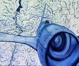 Roger Morris, Fly Korean, 40 000 feet out of Kirribillie, oil on board