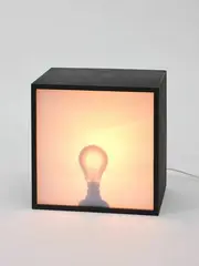 Bulb Box, Shadow I by Bill Culbert, light bulb in perspex box, 2/10, sold Apr 2022