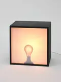 Bill Culbert, Bulb Box, Shadow I