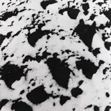 Ruapehu by Peter Peryer, gelatin silver print, sold Apr 2022