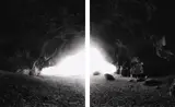 Mark Adams, Te Ana o Hineraki - Moa Bone Cave 1989, silver bromide fibred-based prints, diptych