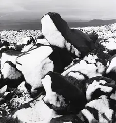 Ruapehu by Peter Peryer, gelatin silver print, sold Apr 2022
