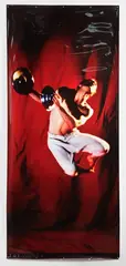 Christine Webster, Circus of Angels - Douglas Wright, cibachrome photograph
