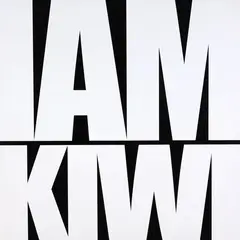 Bob Jahnke, I Am Kiwi (A Brash Statement), lacquer on stainless steel