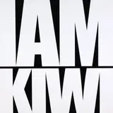 Bob Jahnke, I Am Kiwi (A Brash Statement), lacquer on stainless steel