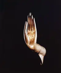 Brian Brake, Buddha Hand, vintage chromogenic colour print