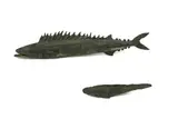 Elizabeth Thompson, Two Barracuda, bronze, two parts