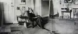 Marie Shannon, The rat in the lounge