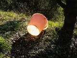 Bill Culbert, Bucket, Croagnes