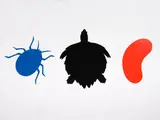 Richard Killeen, Black Turtle, acrylic lacquer on aluminium, three parts