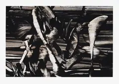 Judy Millar, Untitled, digital print, 58/60
