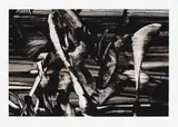 Judy Millar, Untitled, digital print, 58/60