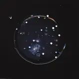 Dane Mitchell, Astronomical Smithereens