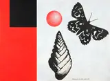 Richard Killeen, Destruction of the circle, acrylic and collage on canvas