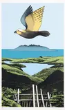 Don Binney, Kaiarara Kaka, Great Barrier