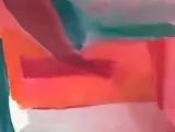 Gretchen Albrecht, Mango Slice, acrylic on canvas