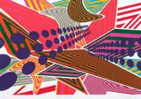 Sara Hughes, Data Attraction 1, screenprint, 15/25