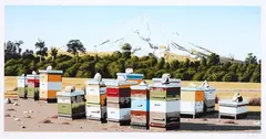 Michael Hight, Parihaka Rd, screenprint, A/P