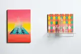 Emily Hartley-Skudder, Pellucid Plastics Collection, oil on linen, found objects and plexiglass (2014 - 2015)