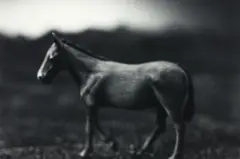 Mule from 'Return of the Dead' by Ronnie van Hout, toned gelatin silver print, sold Feb 2021