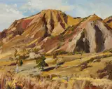 Douglas Badcock, Moke Valley, Summer