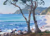 Douglas Badcock, Rings Beach
