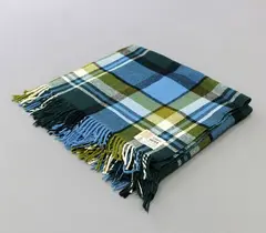 Travel Rug by Kaiapoi Huia, in a turquoise, green, olive, black and white tartan design, sold Dec 2020