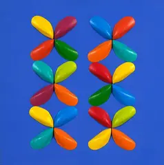 Untitled by Michael Smither & Gian McGregor, oil and hand-painted shells on canvas, offered Dec 2020