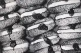 Peter Peryer, Doughnuts