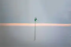 Barrier 1 by Grahame Sydney, durst lambda digital print on archival paper, 4/10, sold Dec 2020