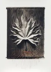Haruhiko Sameshima, Untitled, gelatin silver print with collage and copper wire