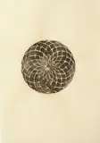 Liyen Chong, Untitled, mixed media on paper, c. 2012