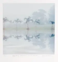 Kate van der Drift, Regarding Tomorrow (East Tamaki), archival pigment print on matte photo rag, 18/50