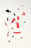 Richard Killeen, Insects