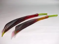 Twisted Flax Pods by Ann Robinson, cast glass, two parts, offered Nov 2020