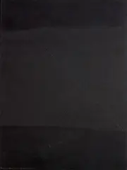 Colin McCahon, Journey into a dark landscape No. 2, polyvinyl acetate and sawdust on board