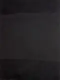 Colin McCahon, Journey into a dark landscape No. 2