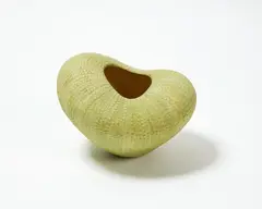 Raewyn Atkinson, Untitled, glazed ceramic