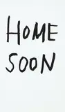 Wayne Youle, Home Soon
